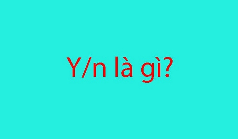 y/n ảnh 1