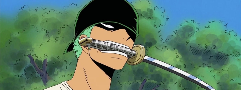 zoro one piece 5