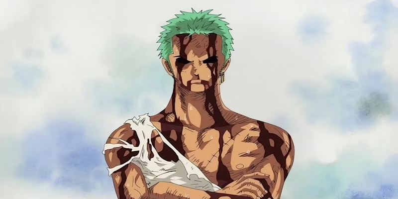 zoro one piece 8