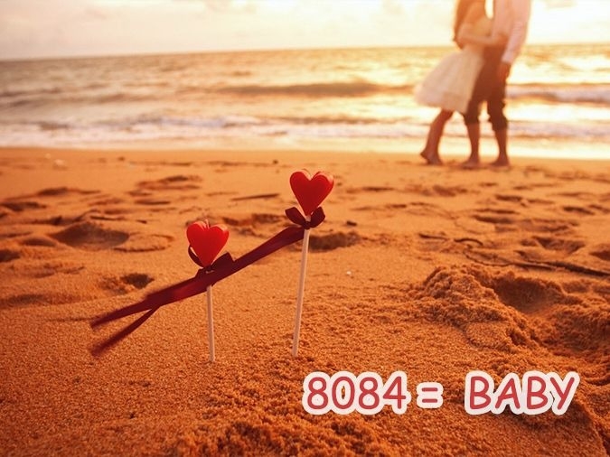 8084 là gì 3