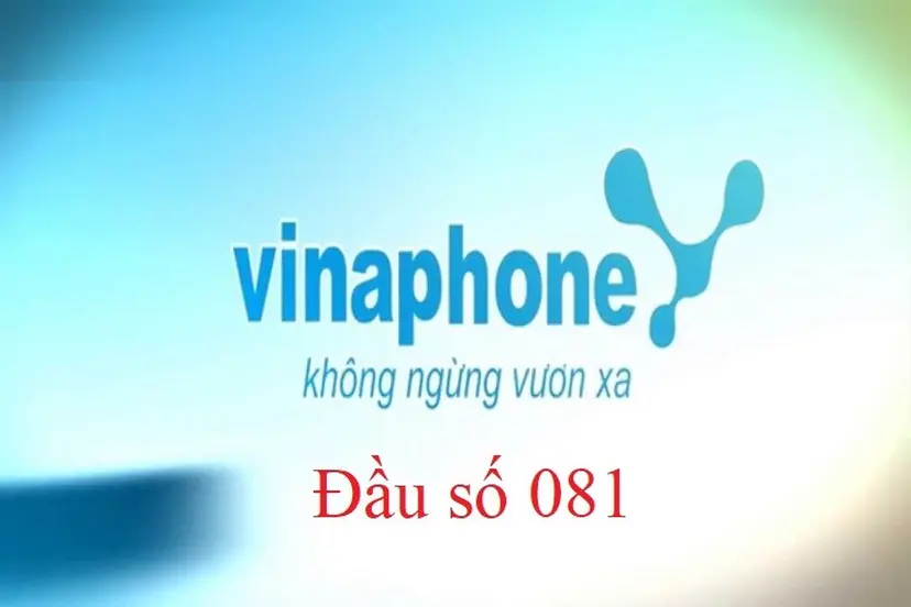 Đầu số 081 là mạng gì? Xem ý nghĩa và cách mua SIM đầu số 081