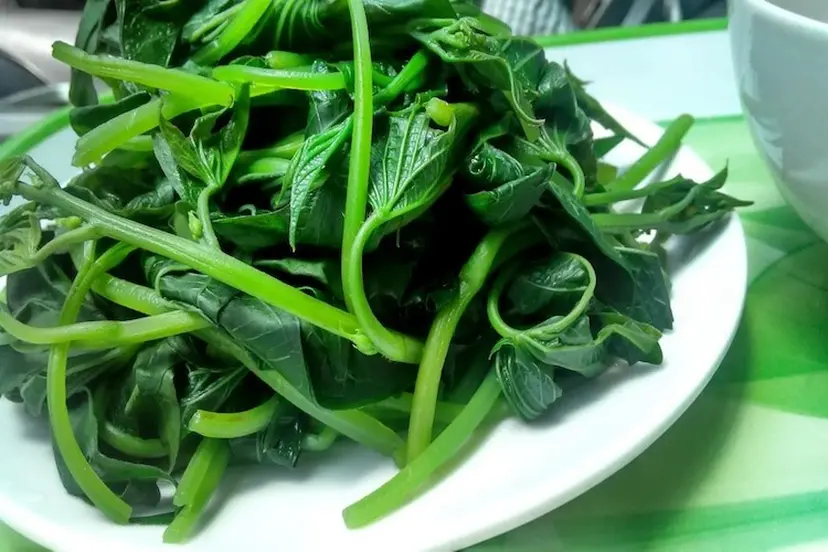 Rau khoai lang bao nhiêu calo? Gợi ý các món ăn làm từ rau lang