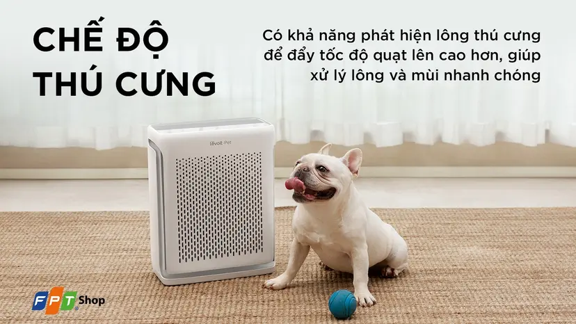 Máy lọc không khí Levoit Vital 100S giá rẻ, tốt, chính hãng