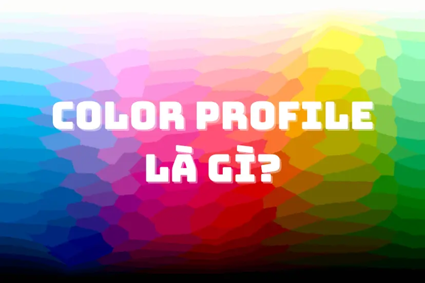 Color Profile là gì? Đừng bỏ qua bài viết này nếu bạn muốn ảnh in ra ...