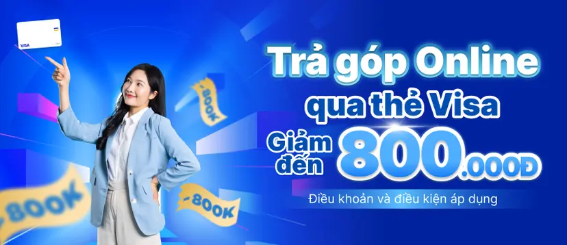 Visa - 800K