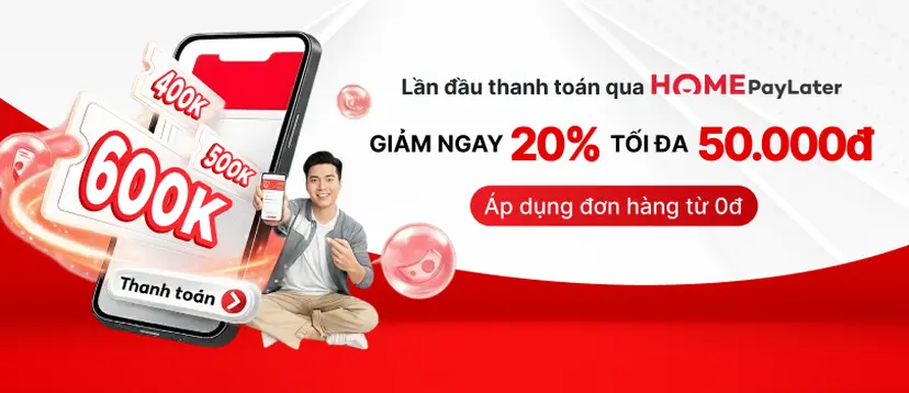 Homepaylater 20%