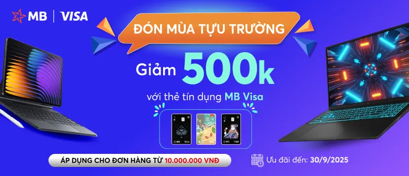 MB Visa