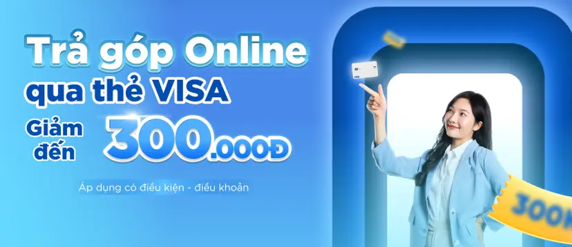 Visa -300k