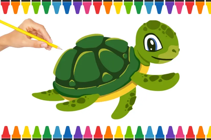 Cách vẽ con rùa cute đơn giản chỉ với vài bước cơ bản bạn có thể thử ngay!