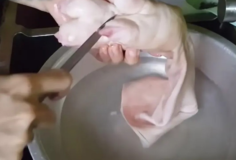 Bật mí 8 món ngon dân dã mùa đông miền Bắc (hình 25)