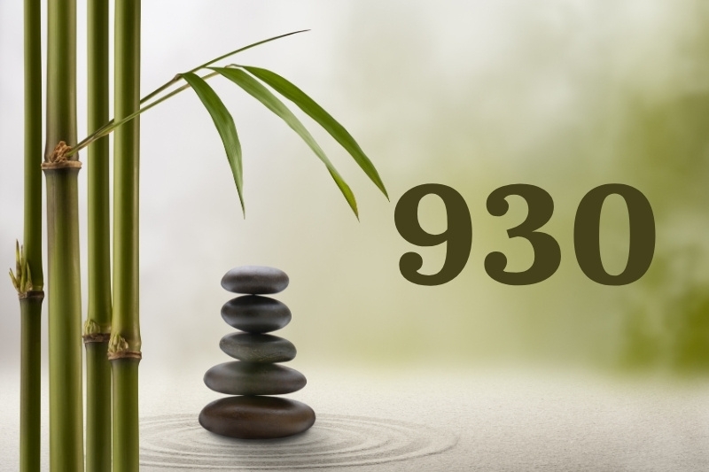 930 là gì 3