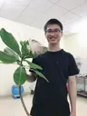 https://fptshop.com.vn/