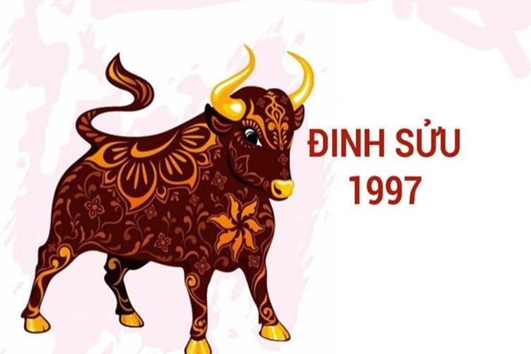 97 hợp màu gì hình 3