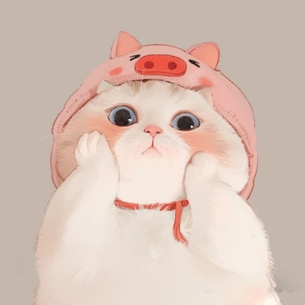 Ảnh mèo cute (35)