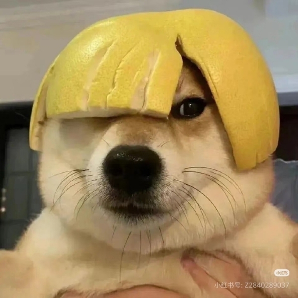 Avatar vô tri cute (22)
