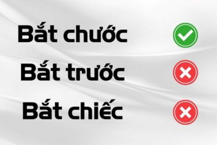 Bắt chước 5