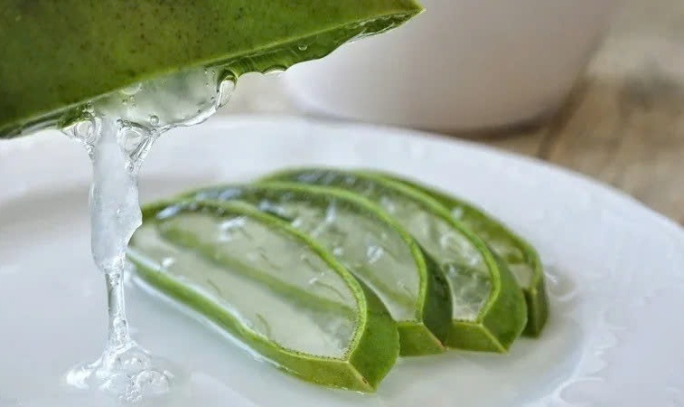 Cách bảo quản nha đam trong tủ lạnh ảnh 7