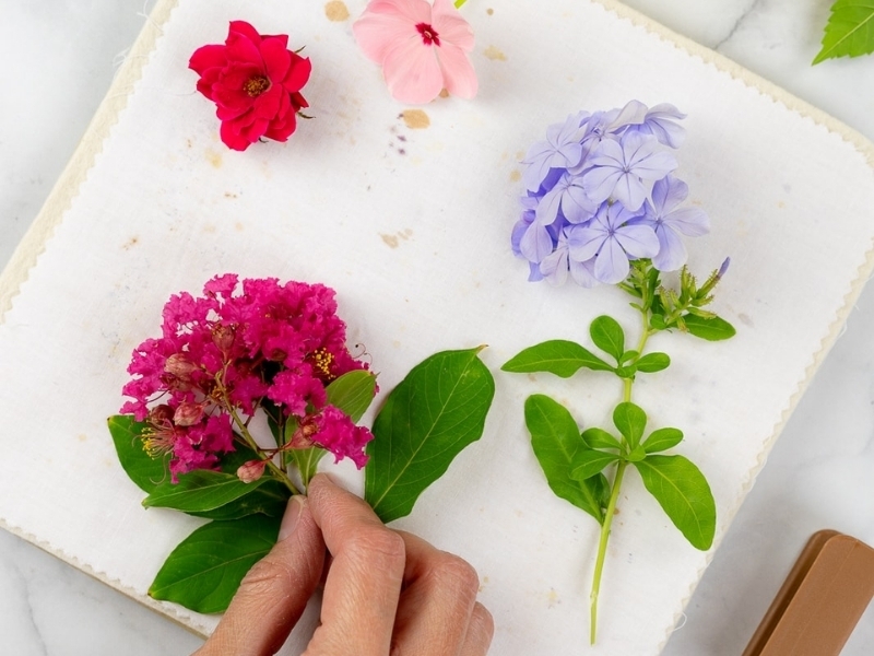 Cách ép hoa khô (2)