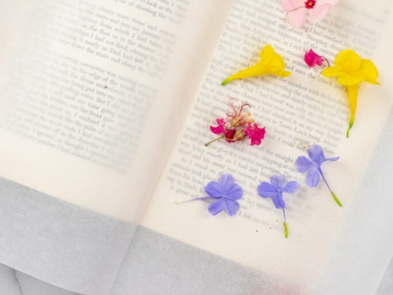 Cách ép hoa khô (3)