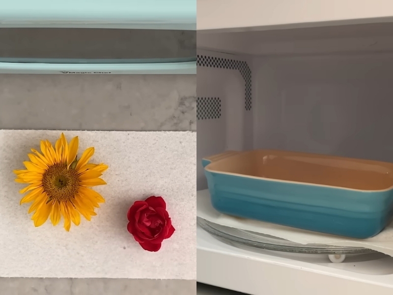 Cách ép hoa khô (6)