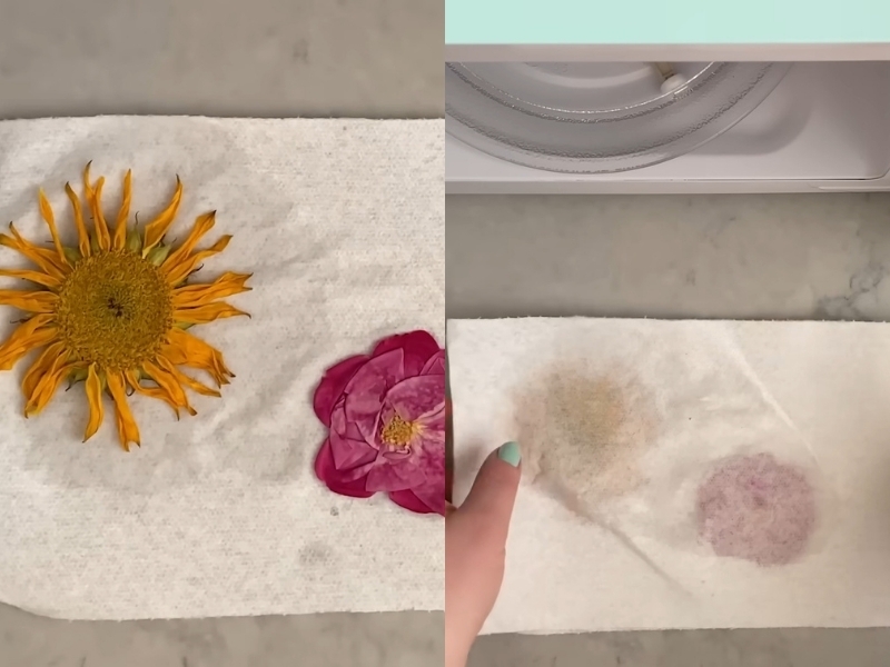 Cách ép hoa khô (7)