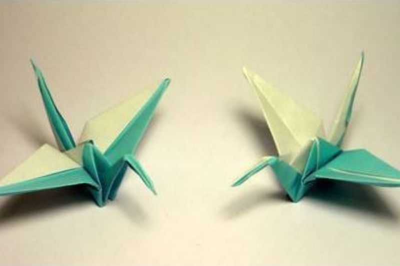 Cách gấp con bướm 14