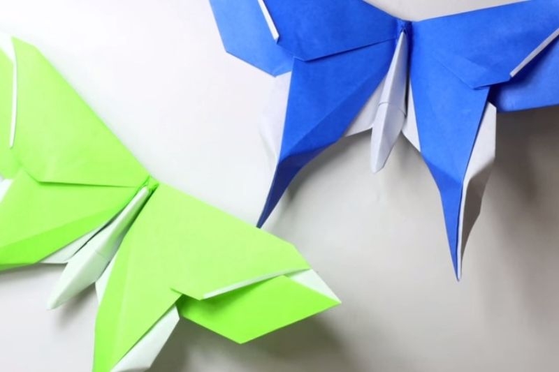 Cách gấp con bướm 1