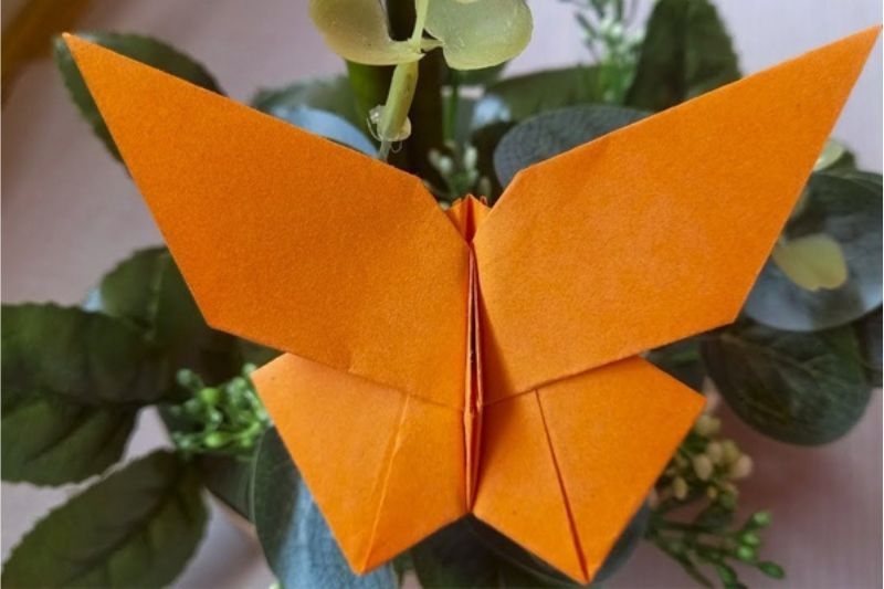 Cách gấp con bướm 2