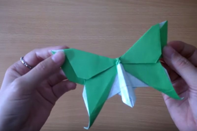 Cách gấp con bướm 3