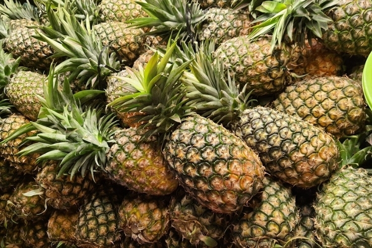 Cách làm cá nục kho thơm (3)