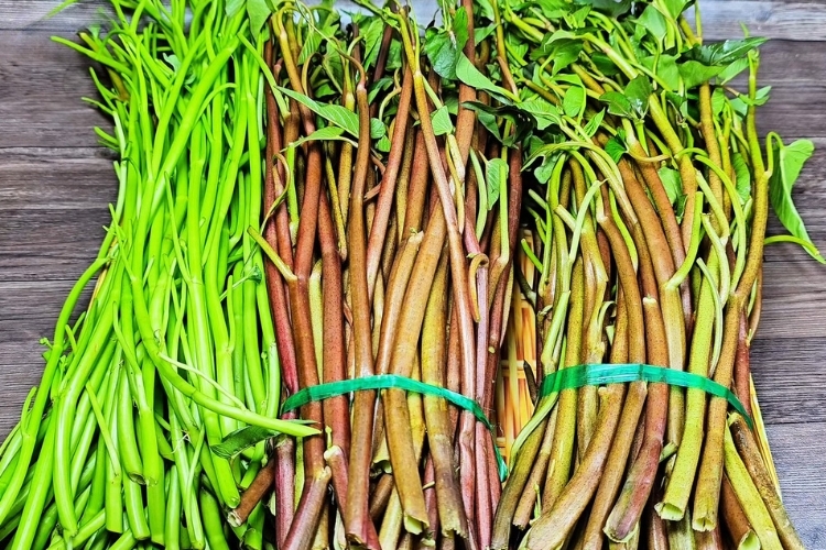 Cách làm dưa rau muống (1)