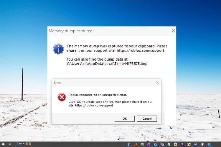 Cách sửa lỗi Memory Dump trên Roblox 1