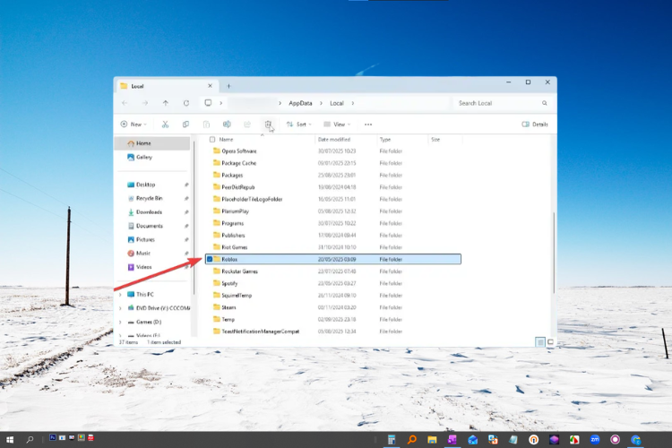 Cách sửa lỗi Memory Dump trên Roblox 2