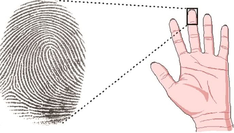 cách xem hoa tay ảnh 1