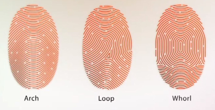 cách xem hoa tay ảnh 2