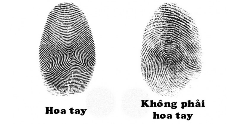 cách xem hoa tay ảnh 3