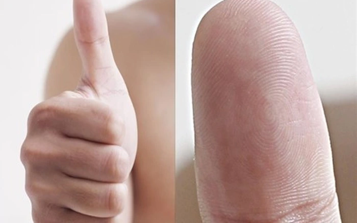 cách xem hoa tay ảnh 4