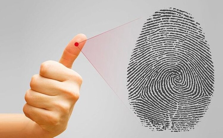 cách xem hoa tay ảnh 6