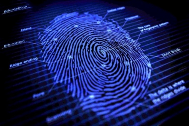 Cách xem hoa tay chi tiết giúp giải mã vận mệnh, tính cách và tương lai chính xác