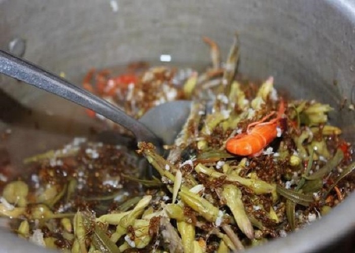 Canh chua kiến vàng (hình 2)