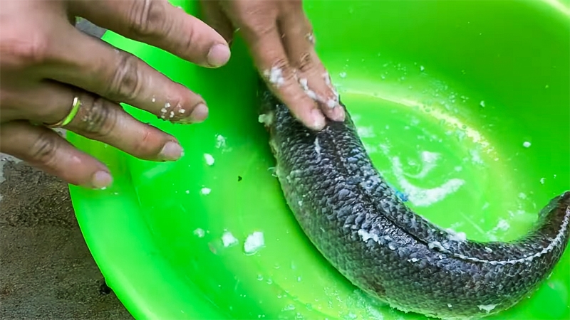 Canh chua kiến vàng (hình 4)
