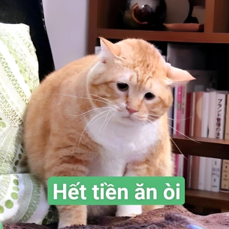 Caption hết tiền 1.png