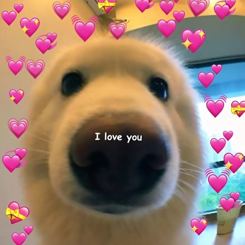 Caption thả thính crush 4.jpg