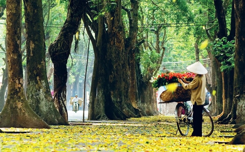 Caption về Hà Nội 3.jpg