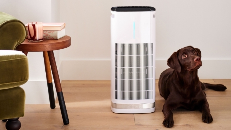 Chọn mua máy lọc không khí phòng khách (3)