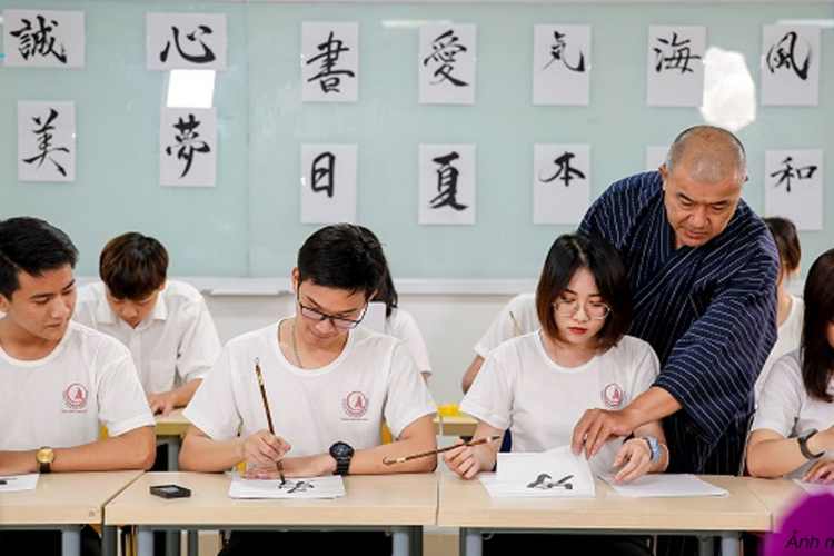 D33 gồm những môn nào_ ngành nào 3