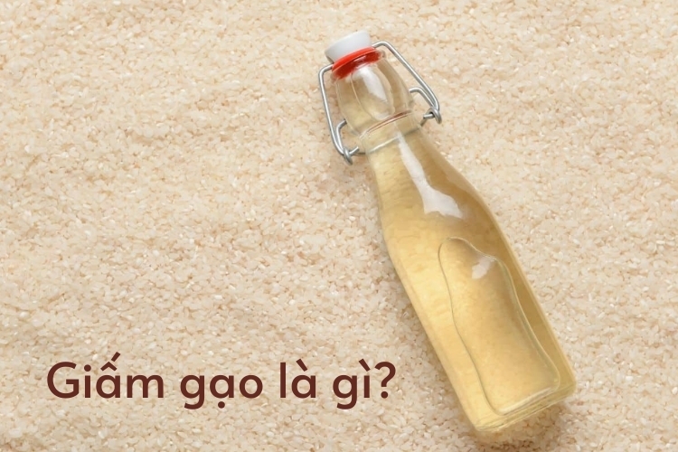 Giấm gạo là giấm gì? Hướng dẫn cách tự làm giấm gạo tại nhà cực đơn giản, dễ dàng thành công