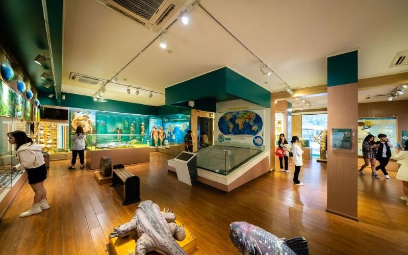 Bảo tàng Thiên nhiên Việt Nam