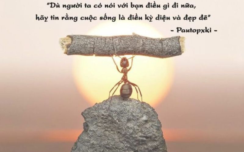 Hình ảnh ngày Quốc tế Đàn ông ảnh 25