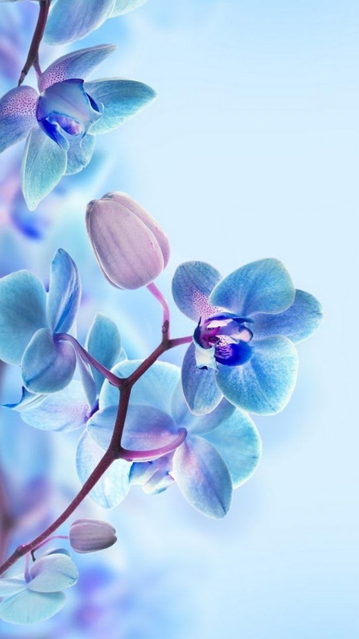 Hình nền hoa 3D đẹp cho điện thoại (22)